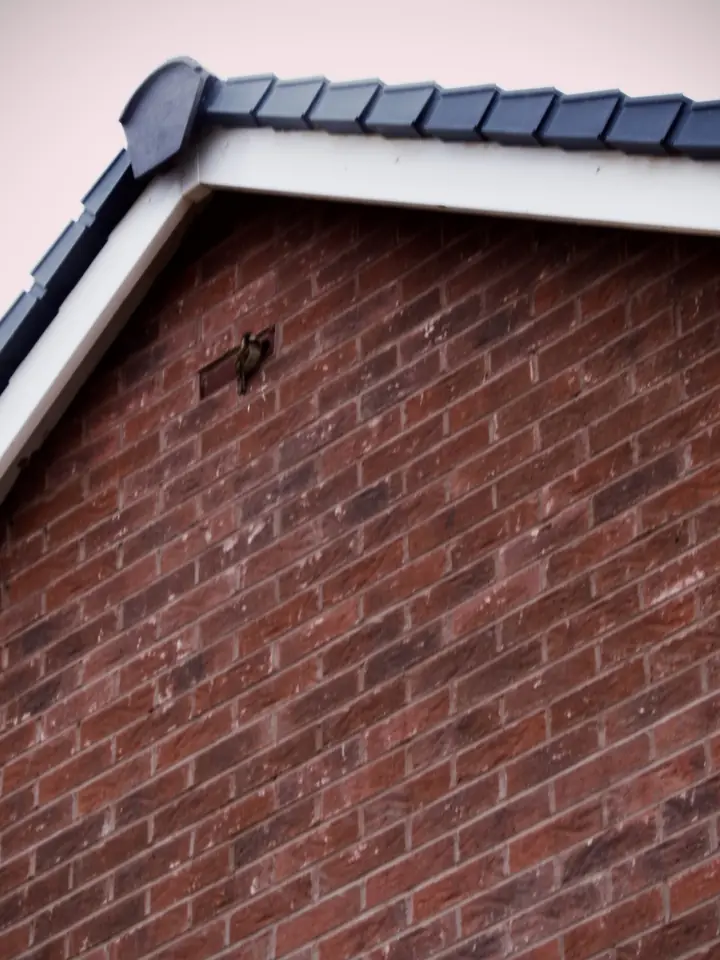 Tiled roof edge with a dry verge on a brick gable